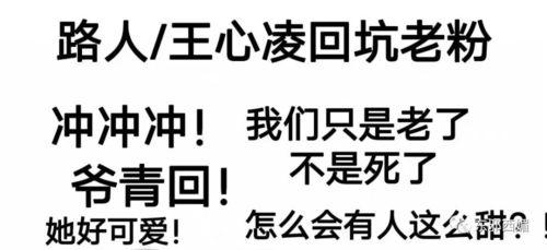 玩网怕被挖黑料怎么办,玩转网络，安心无忧