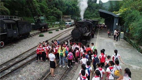 第一黑料影后手机书包网,第一黑料影后背后的惊人真相