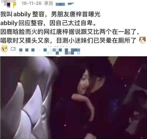 网红泄密黑料曝光,揭秘网络背后的真相与争议